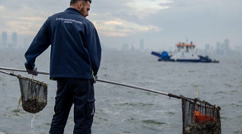 Körfez’de yağmur sonrası yüzey temizliği